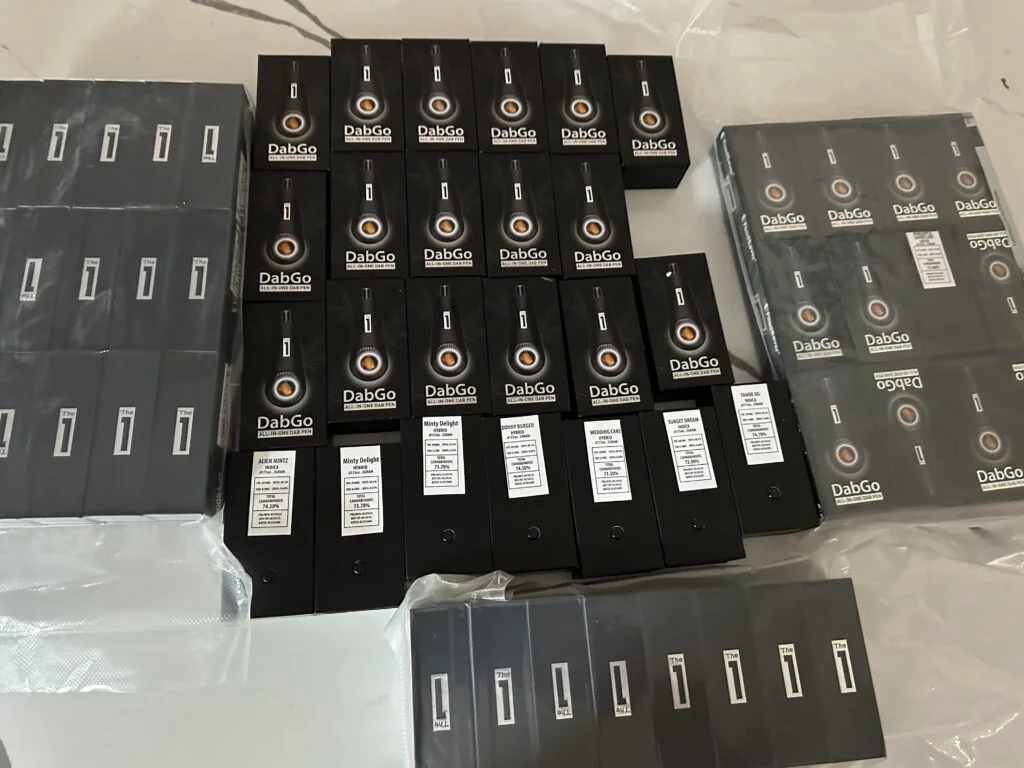Dabgo review